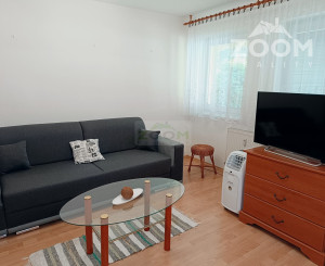 Veľký Šariš - 1 izbový byt s terasou, 44m2